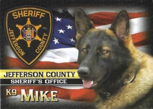 Retired K9 Mike